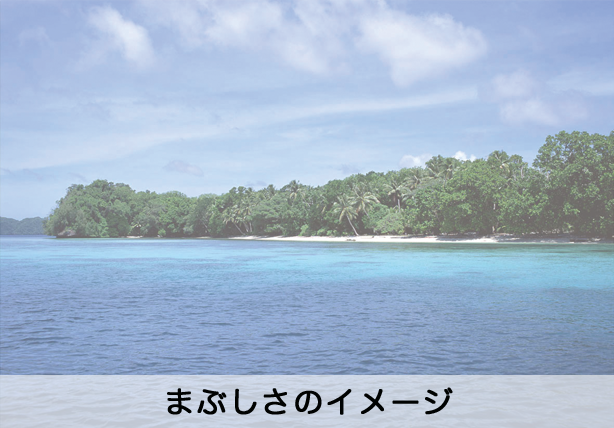 about_valid0 遮光メガネ
