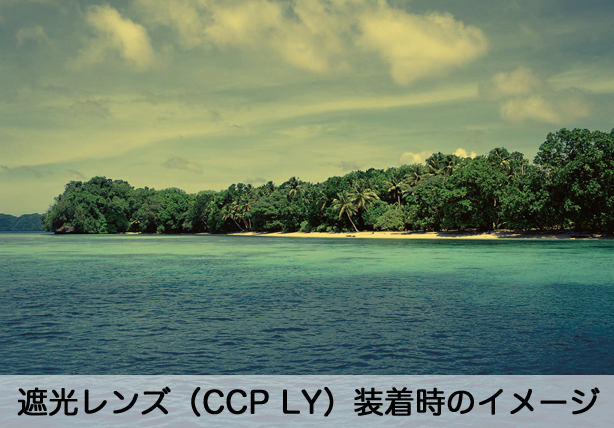 about_valid1 遮光メガネ